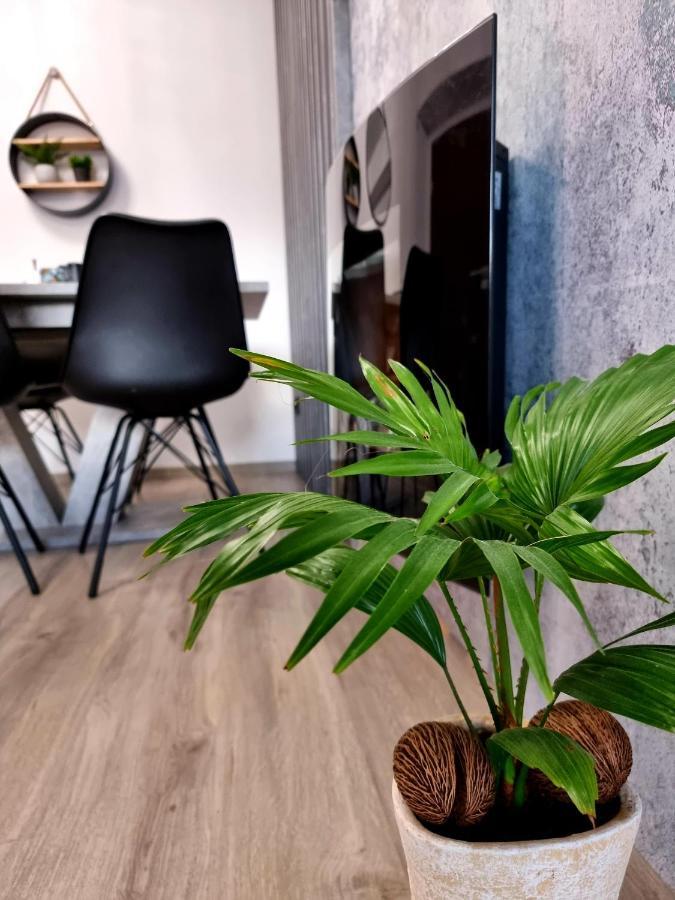 Apartament Jelonek W Karkonoszach Jelenia Góra Buitenkant foto