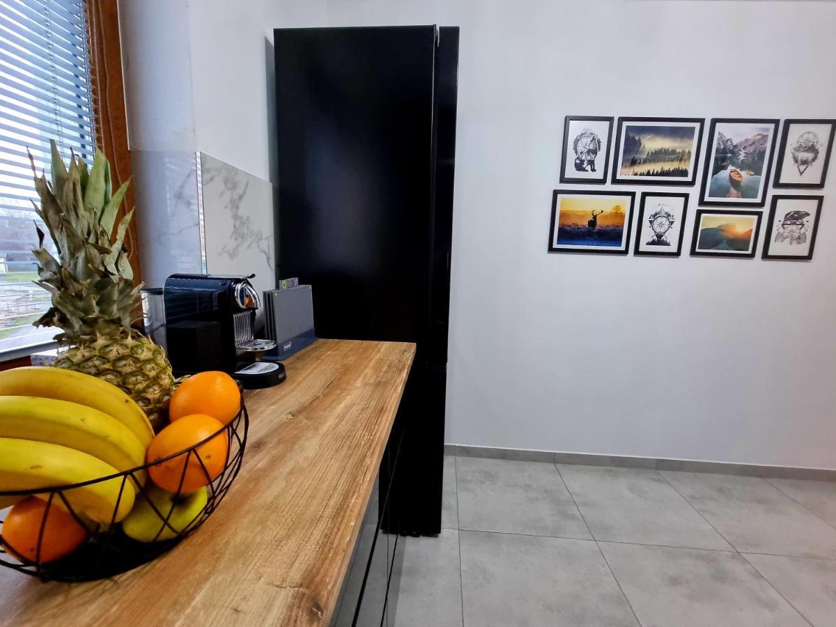 Apartament Jelonek W Karkonoszach Jelenia Góra Buitenkant foto