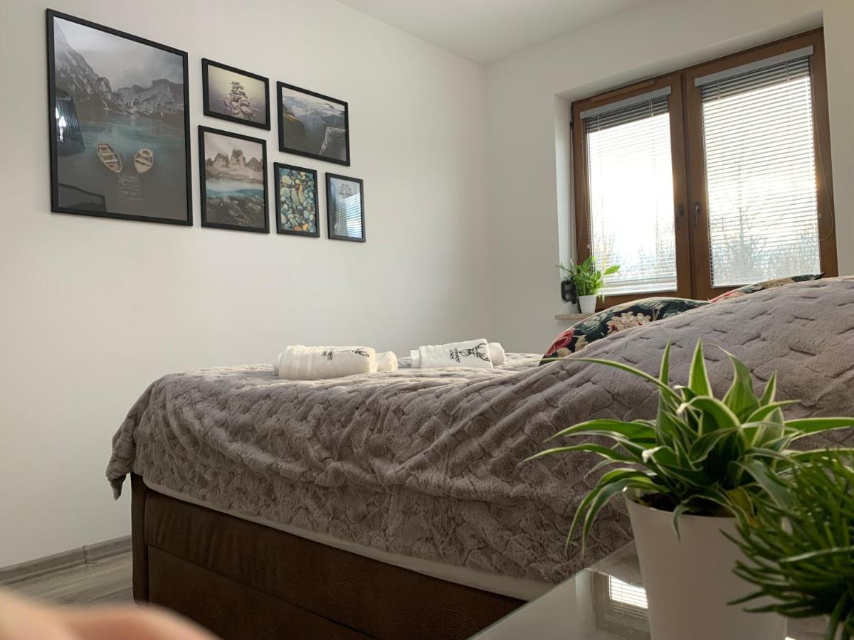 Apartament Jelonek W Karkonoszach Jelenia Góra Buitenkant foto